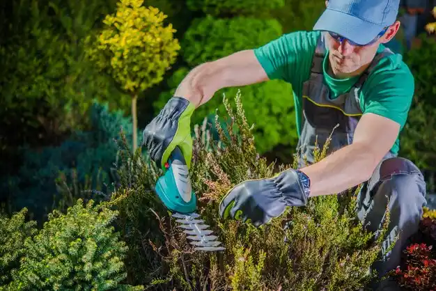 landscaping services Thurston